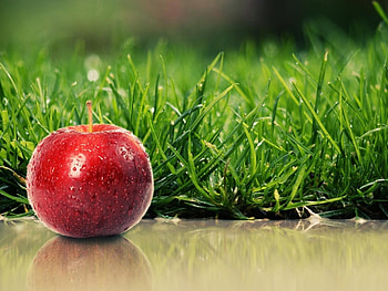 Fruits, Food, Apples HD wallpaper