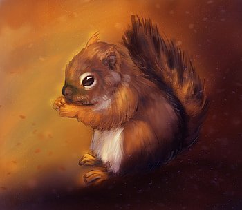 Animals, Squirrel, Art, Animal, Nice, Sweetheart, Rodent HD wallpaper