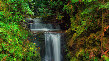 Beautiful Nature Waterfall Stream Stone Rock Between Green Trees Bushes Algae Forest Background Nature HD wallpaper