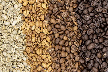 Coffee beans, Art of roasting, Flavorsome delight, Coffee journey HD wallpaper