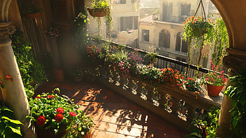 Serene Balcony Garden – Ultra, balcony, plant, flower, sunlight HD wallpaper