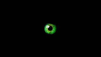 For > Green And Black Abstract HD wallpaper