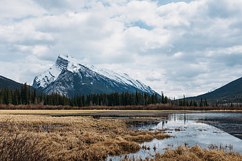 Landscape, Nature, Trees, Mountain, Lake HD wallpaper