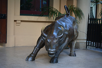 Bronze Bull, bull, statue, Australia HD wallpaper