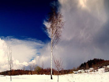 Sapphire Sky, winter, blue, sapphire, snow, clouds, sky HD wallpaper