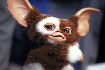 Beloved character, Cute and cuddly, Playful expressions, Adorable charm HD wallpaper