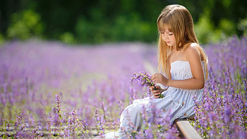 Beautiful Cute Little Girl Is Sitting In Blur Lavender Flowers Field Background Wearing White Dress Cute HD wallpaper