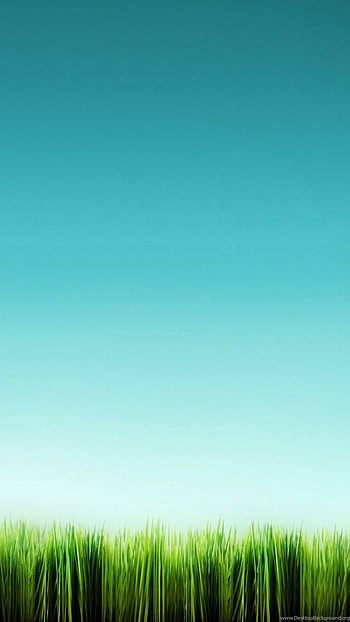 Simple, Grass, sky, blue HD phone wallpaper