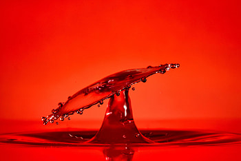Water, Drops, Miscellanea, Miscellaneous, Splash HD wallpaper