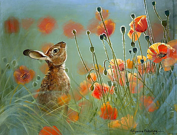 Fragrance of Summer, poppies, painting, blossoms, flowers, rabbit HD wallpaper