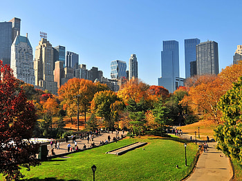 Essex House, Central Park HD wallpaper