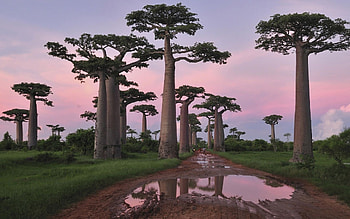 Madagascar Landscapes, Stunning Views, -Perfect Scenes, Scenic Splendor HD wallpaper