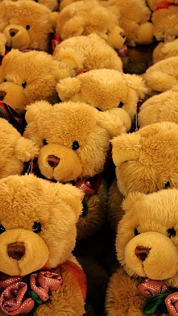 Cute Teddy, Little, Teddy Bears HD phone wallpaper
