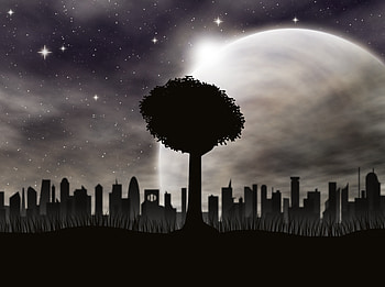 City, Vector, Wood, Tree, Silhouettes HD wallpaper