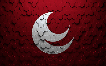 Flag of Hiroshima, honeycomb art, Hiroshima hexagons flag, Hiroshima, 3d hexagons art, Hiroshima flag HD wallpaper