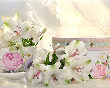 Gentle Filled, roses, soft, flowers, cup, lovely, lillies HD wallpaper