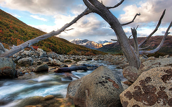 Nature, Rivers, Stones, Mountains, Clouds, Wood, Tree, Gurgling, Murmur, Dead, Snag HD wallpaper