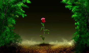 A Single Rose, leaves, art, green, Mist, flowers, Rose HD wallpaper