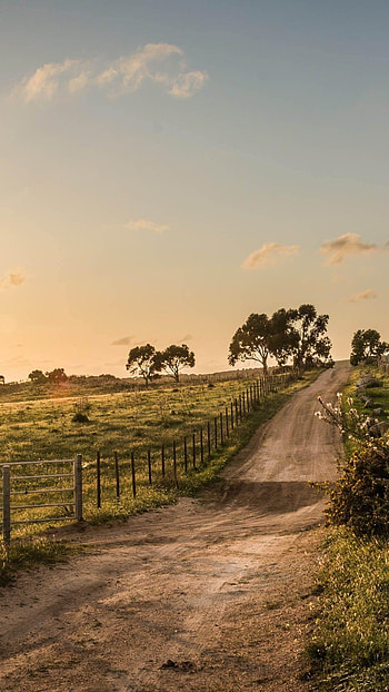 Farm , Beautiful farm scenes, Mobile backgrounds, Country life HD phone wallpaper