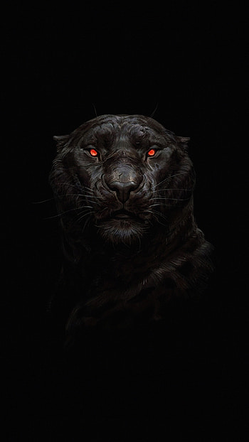 Glowing eyes, Black Panthers HD phone wallpaper