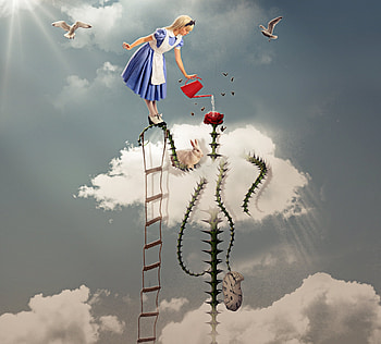 Phantasmagoria, blue, bird, girl, dress, copil, creative, stairs, fantasy, alice, sky, child, cloud HD wallpaper