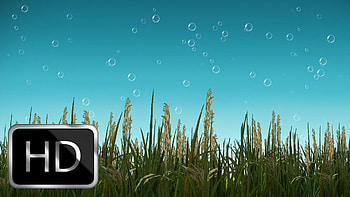 Nature Motion Background with Beautiful Bubbles Moving Background Animation! - YouTube HD wallpaper