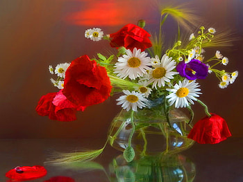 Still life, puppies, vase, beautiful, nice, daisies, delicate, pretty, flowers, harmony HD wallpaper