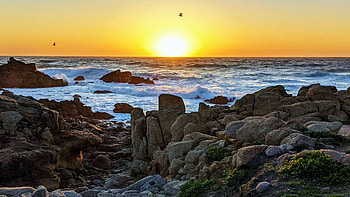 Sunset along the coastline in Carmel, California, pacific, sky, rocks, sun, ocean, usa HD wallpaper