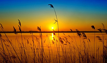 Orange sunset, river, sunlight, glow, dazzling, grass, orange, sunrise, reflection, light, nature, sky, sun, sunset HD wallpaper