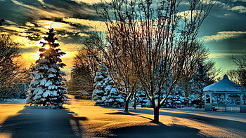 Park in Winter, sky, sunset, snow, gazebo, trees, clouds HD wallpaper