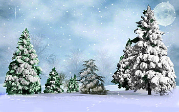 Winter, Nature, Sky, Moon, Snow, Ate, Star HD wallpaper