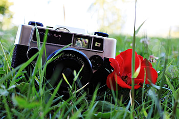 Lens, Grass, Background, Flower, Plant, Miscellanea, Miscellaneous, Mood, Camera, Poppy, Floweret, Moods HD wallpaper