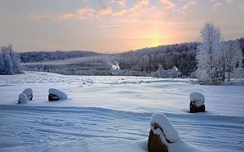 Beautiful Winter, winter, amazing, snow, sunset HD wallpaper