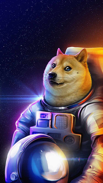 Doge, art HD phone wallpaper