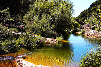 River, forests, nature, rocks, rivers HD wallpaper