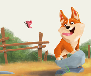 Animal, corgi HD wallpaper