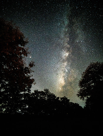 Nature, Trees, Night, Dark, Starry Sky HD phone wallpaper