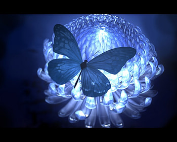 Butterfly, blue, glow, floral, beauty, nice, darkness, 3d, abstract, cg, flower, , blossom, sweet, gorgeous, beautiful, object, dark, elegant, pretty, light, lovely, realistic HD wallpaper