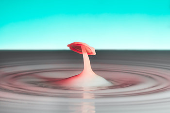 Dipping ink, ripple, mushroom shape, close up HD wallpaper