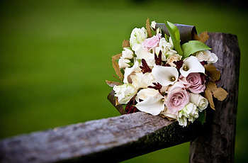 Callas, Flowers, Roses, Blur, Smooth, Bouquet, Fence, Calla HD wallpaper