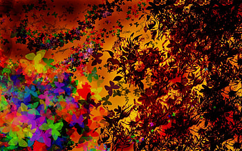 colorful butterflies, butterflies, colorful, wds, color, flowers HD wallpaper