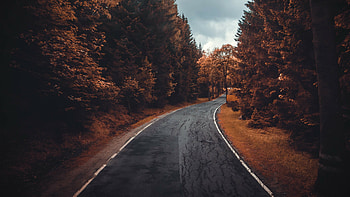 Road, Forests HD wallpaper