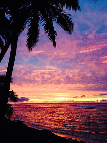 Rarotonga at sunset, Cook Islands, Cuitan Dokter, Beach scenery HD phone wallpaper