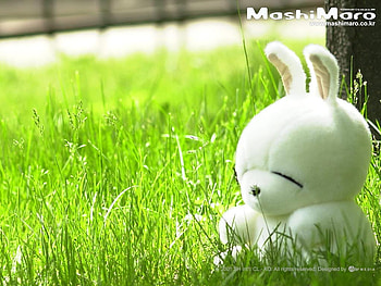 Mashimaro-31, kids stuff, green and white, fluffy, cudly HD wallpaper