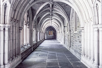 A serene view of a gothic-style stone corridor with vaulted arches in a historic building. HD wallpaper