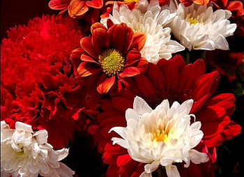 Floral Bouquet, bouquet, white, flowers, red HD wallpaper