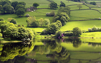 Landscape, Rivers, Trees HD wallpaper