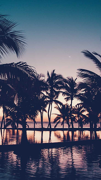 Summer 2019, Cute Summer HD phone wallpaper