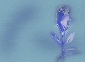Electra flower, flowers, 3d HD wallpaper