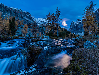 Yaho national park, Mountains, Trees, Canada, Stream HD wallpaper